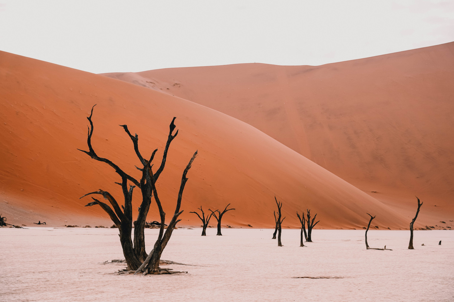 Sossusvlei