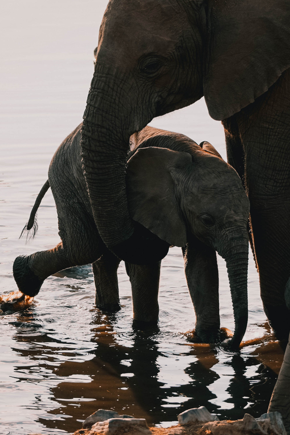 Etosha