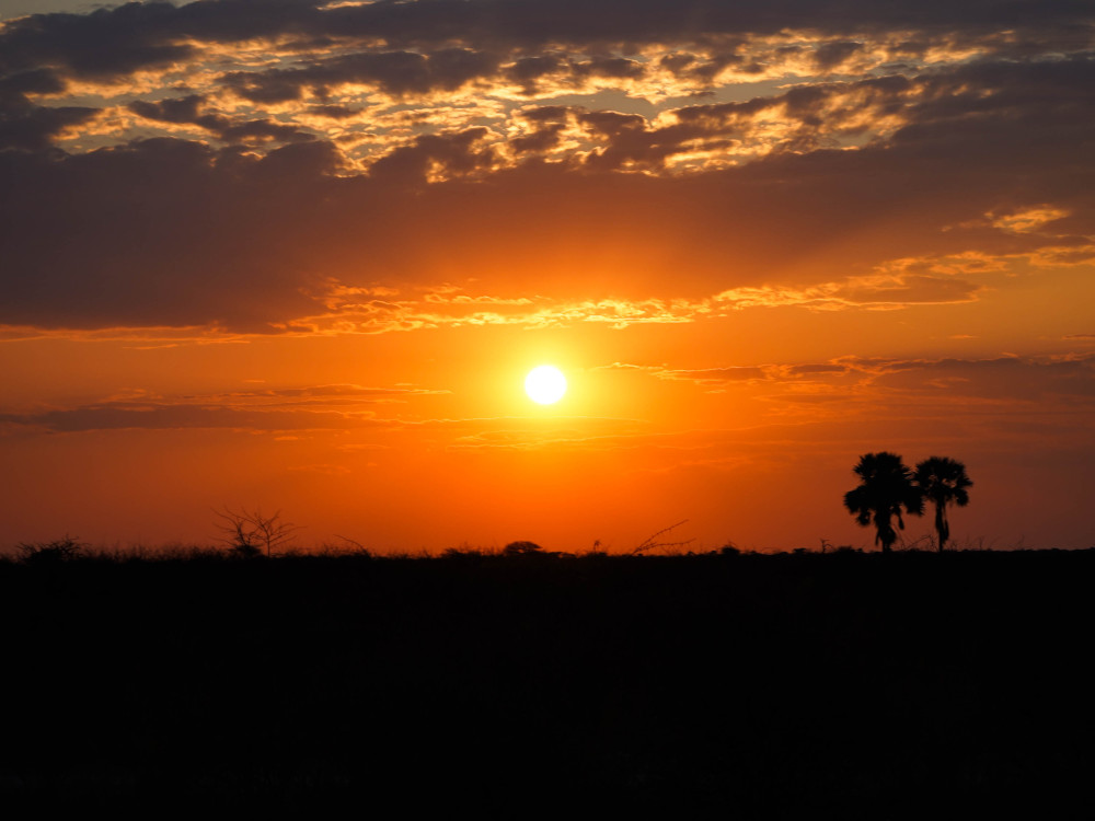 Zonsondergang bij Onguma