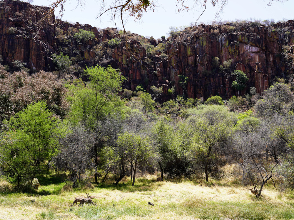 Waterberg Plateau