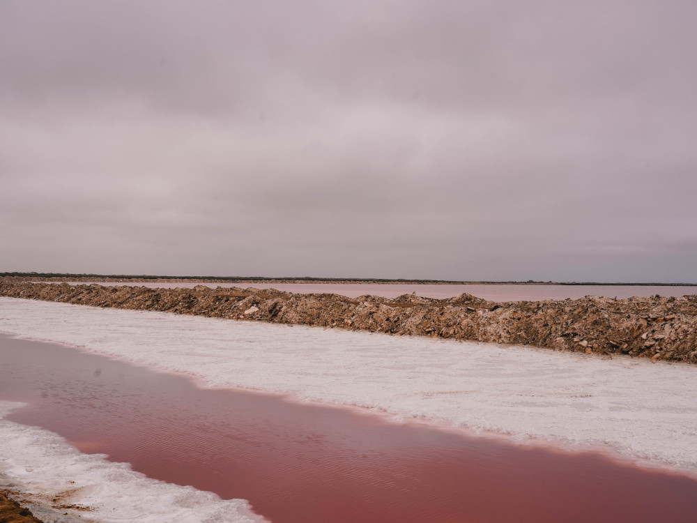 Roze zoutmeren Walvisbaai