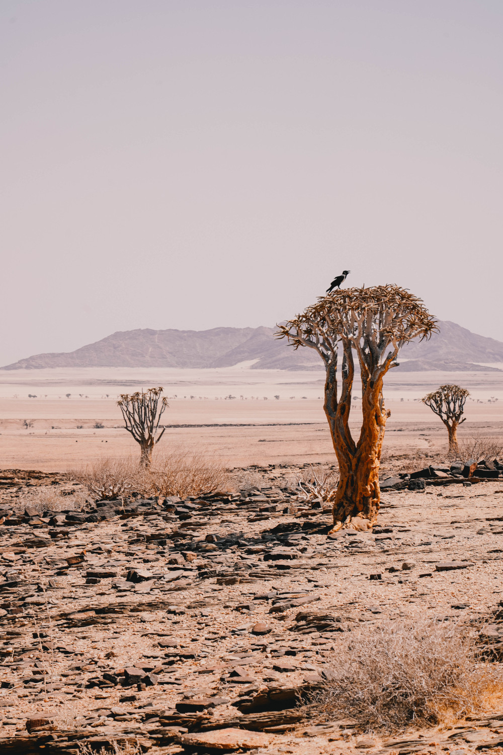Tanken in Namibië