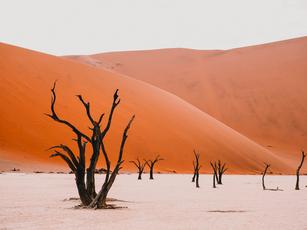 Deadvlei
