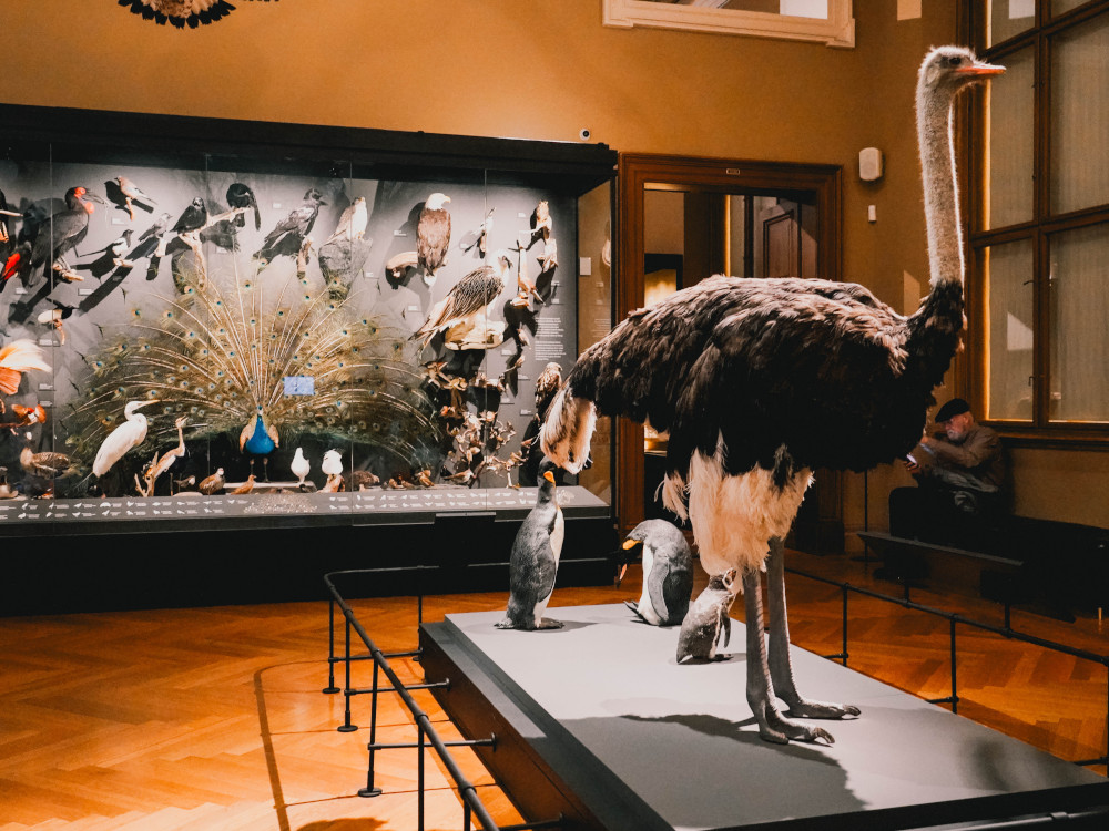 Nationale Museum van Praag	