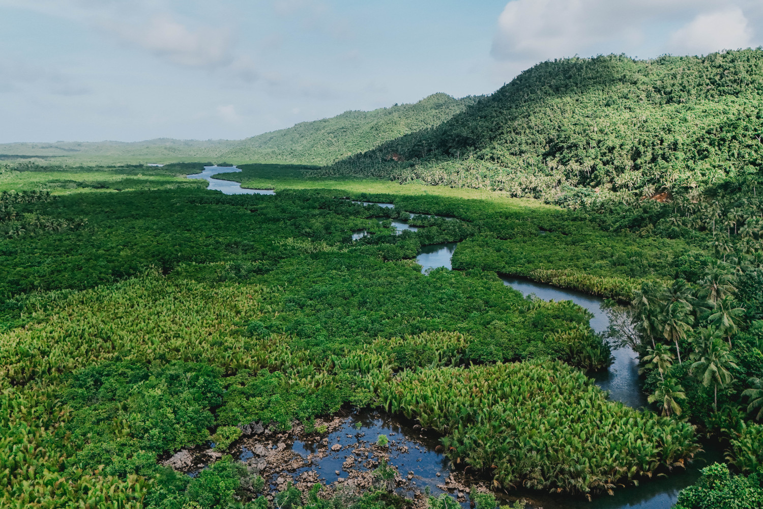 Maasin River