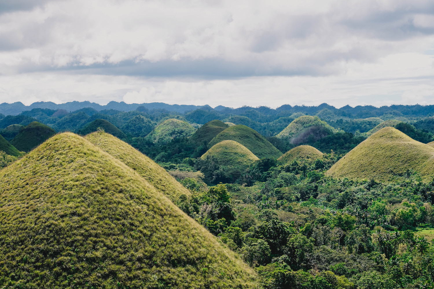 Reisroute Filipijnen - Bohol