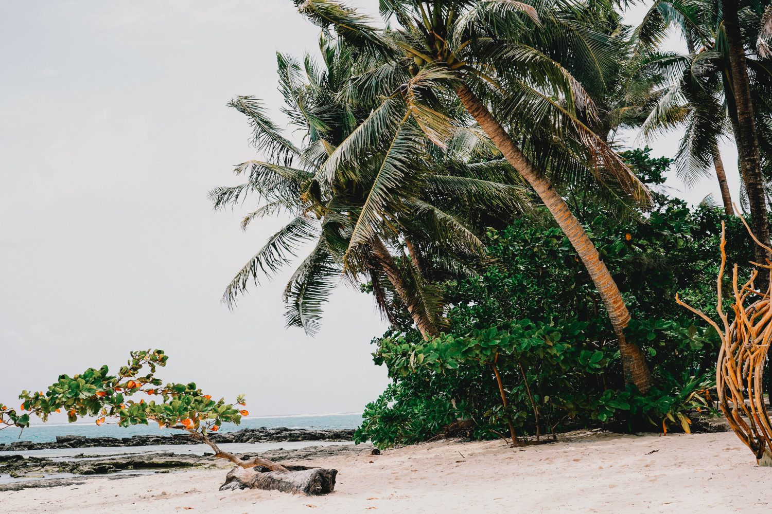 Reisroute Filipijnen - Siargao