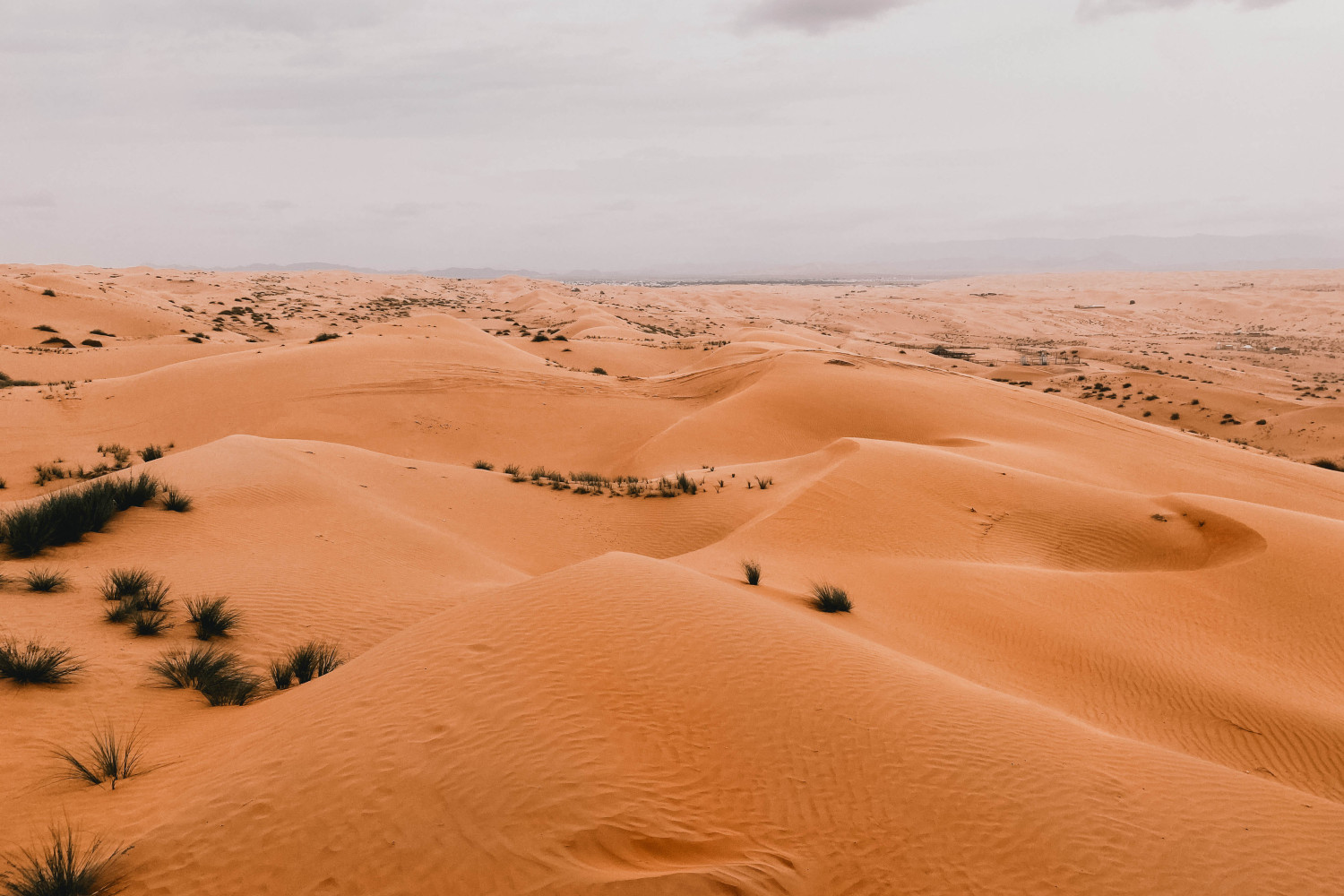 Wahiba Sands