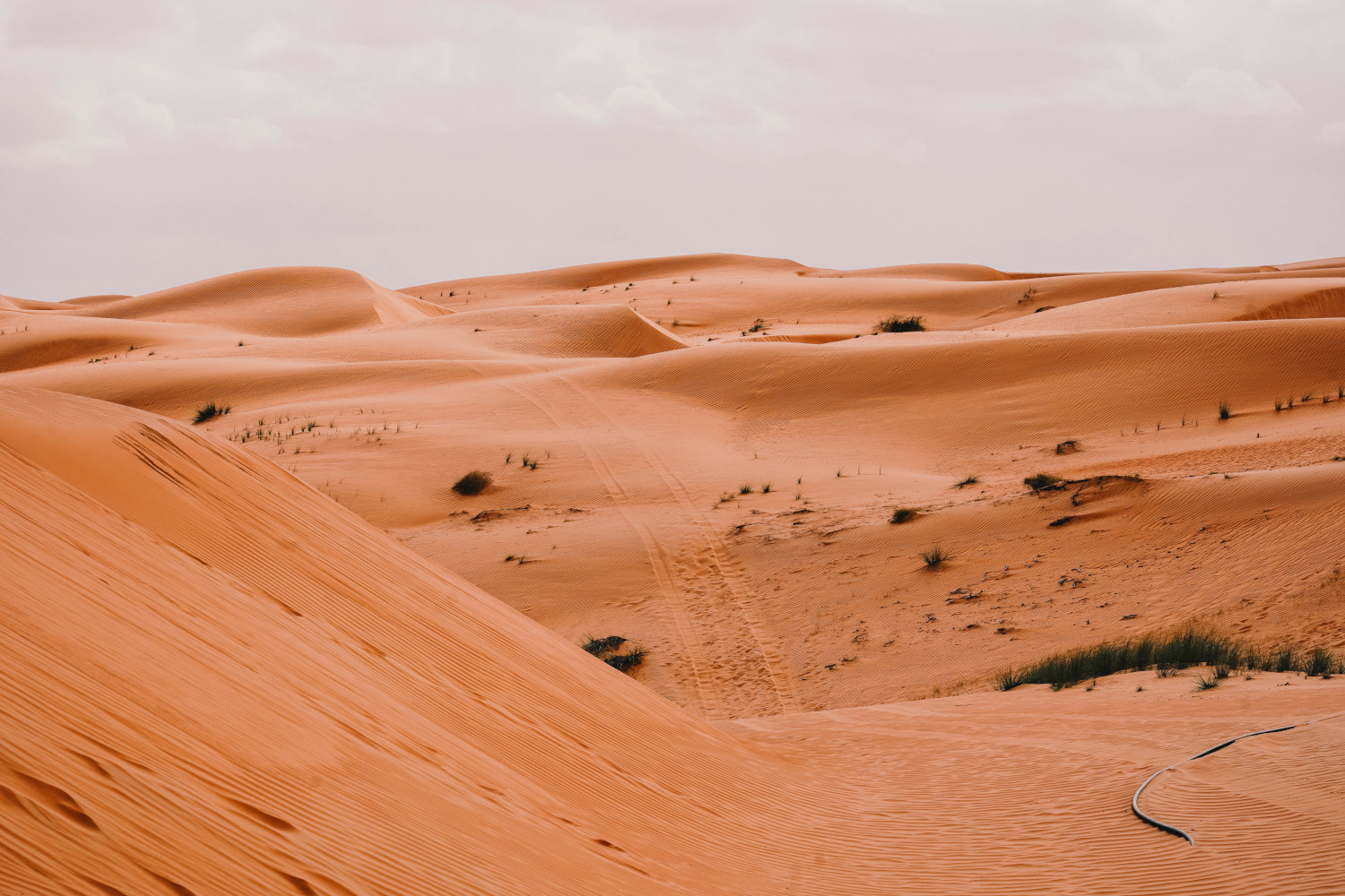 Dune Bashing in Wahiba Sands