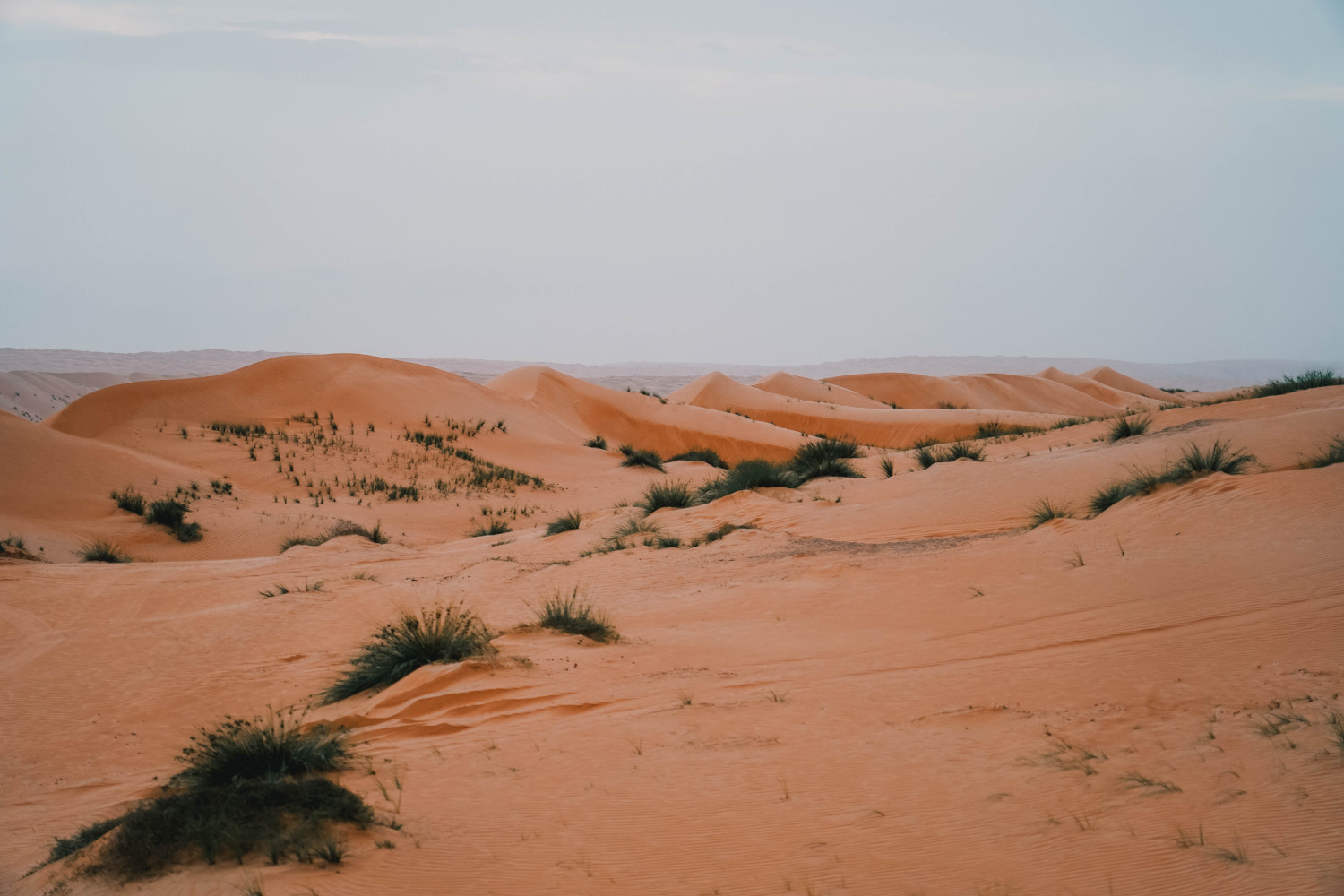 Wahiba Sands