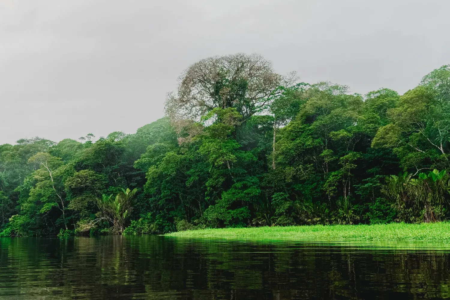 Tortuguero National Park