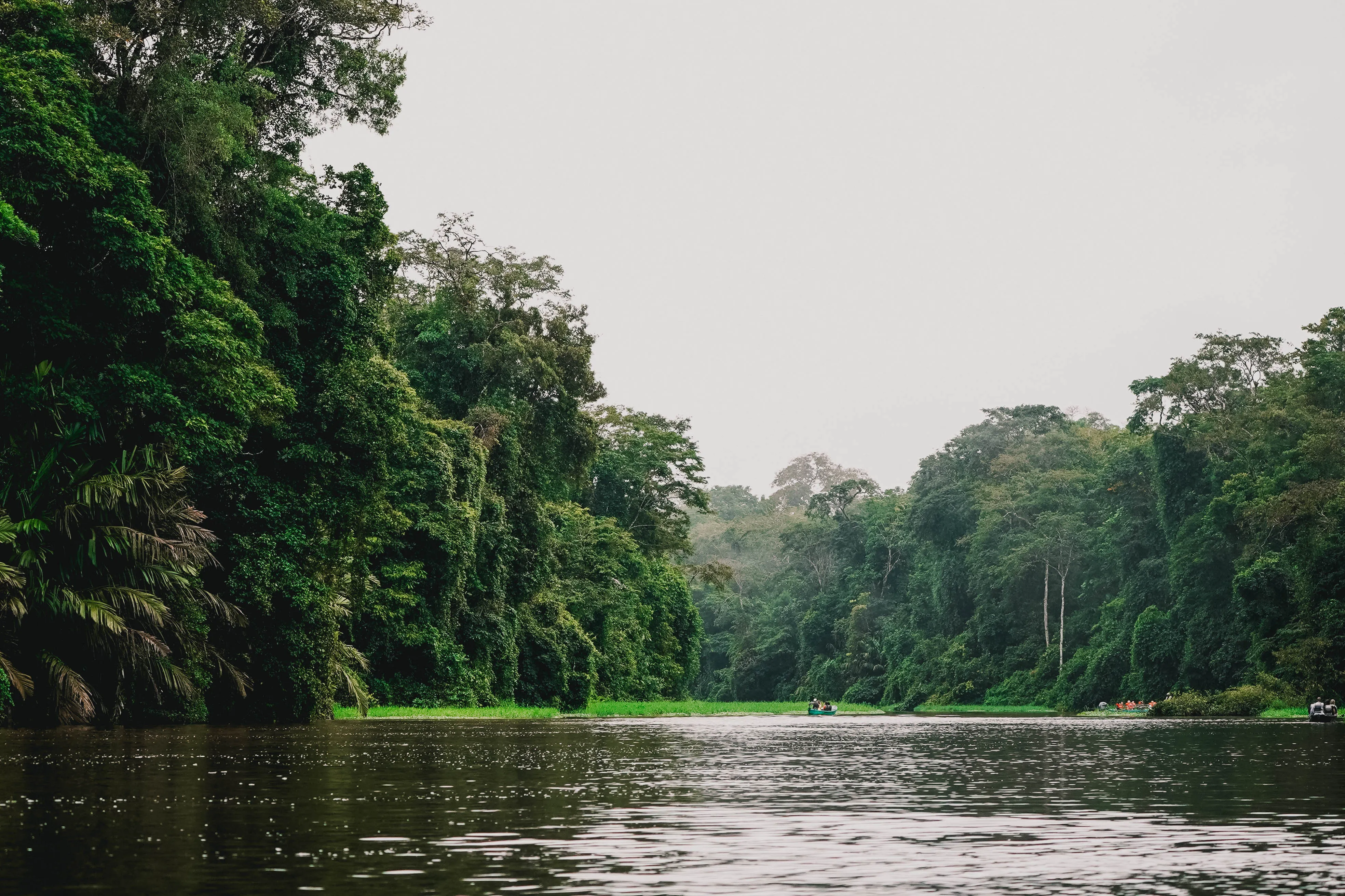 Tortuguero