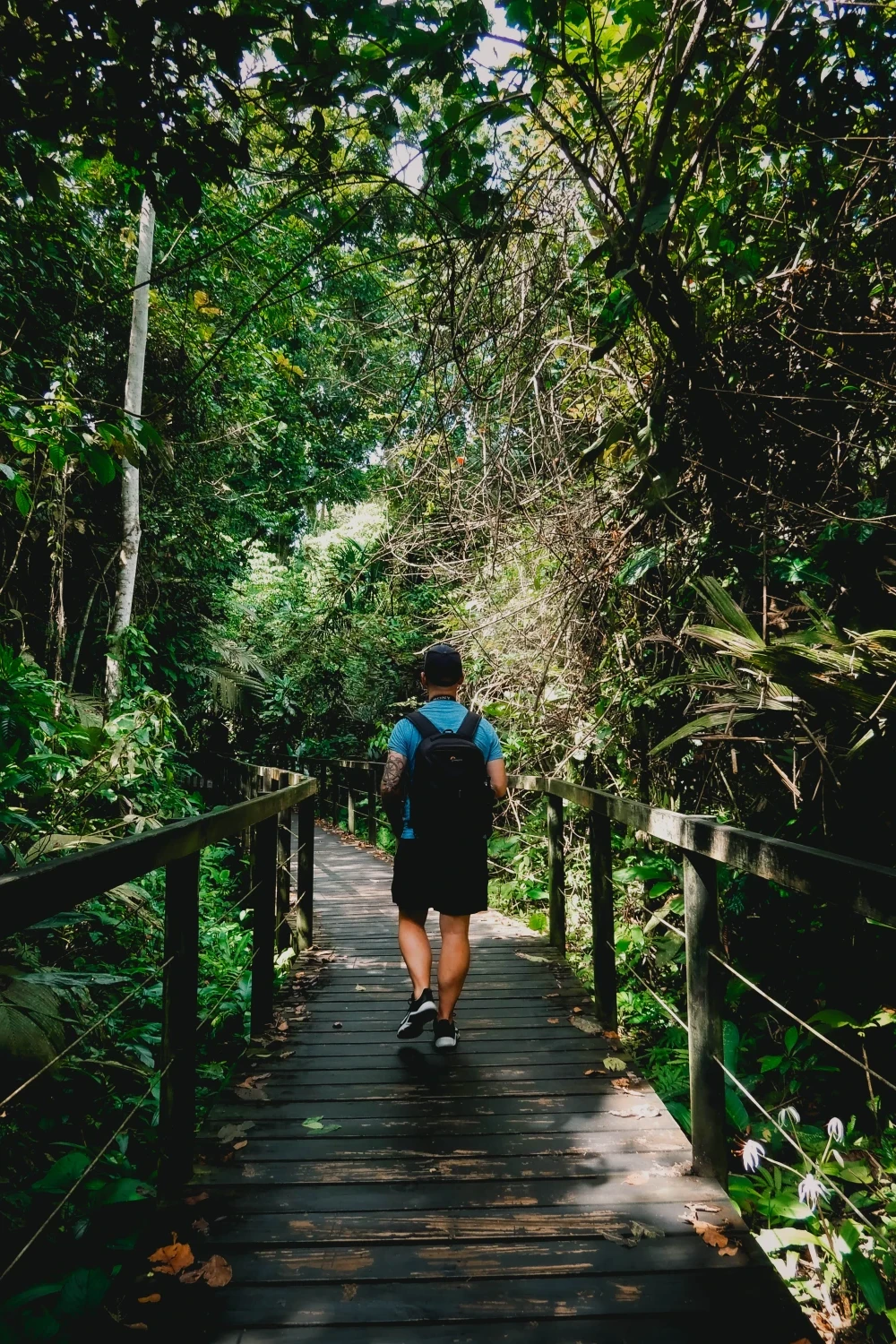 Cahuita National Park