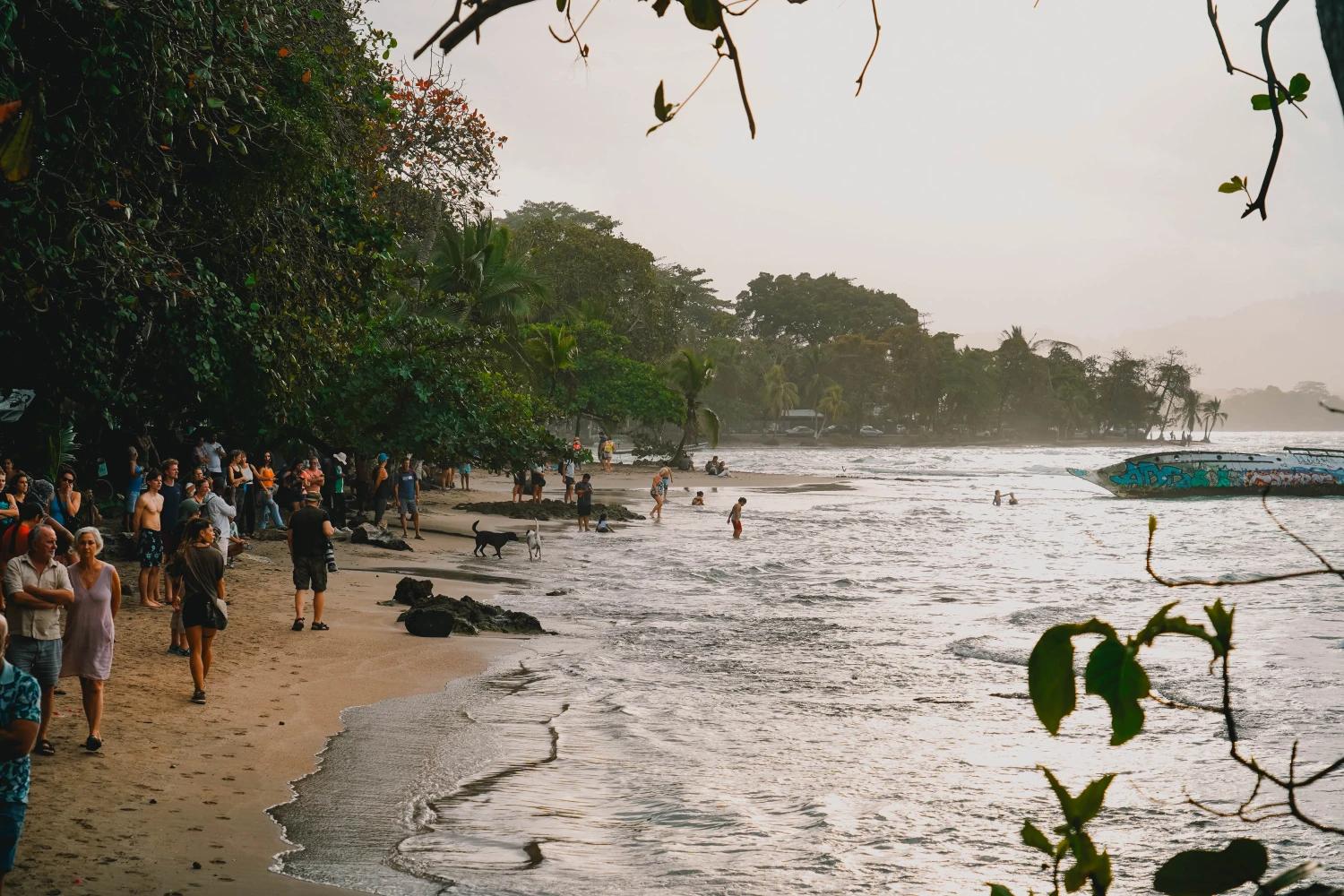 Surfles in Puerto Viejo