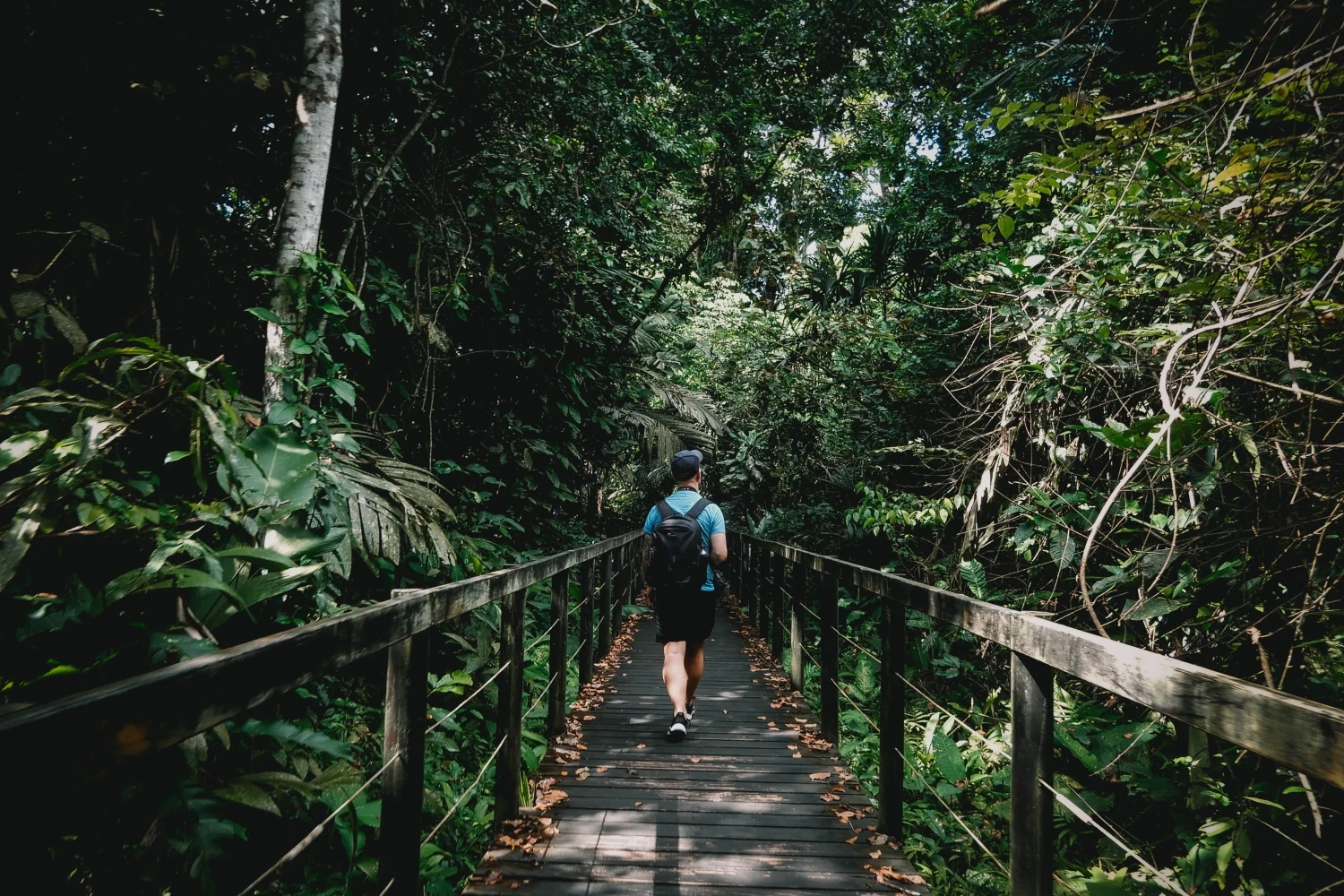 Cahuita National Park