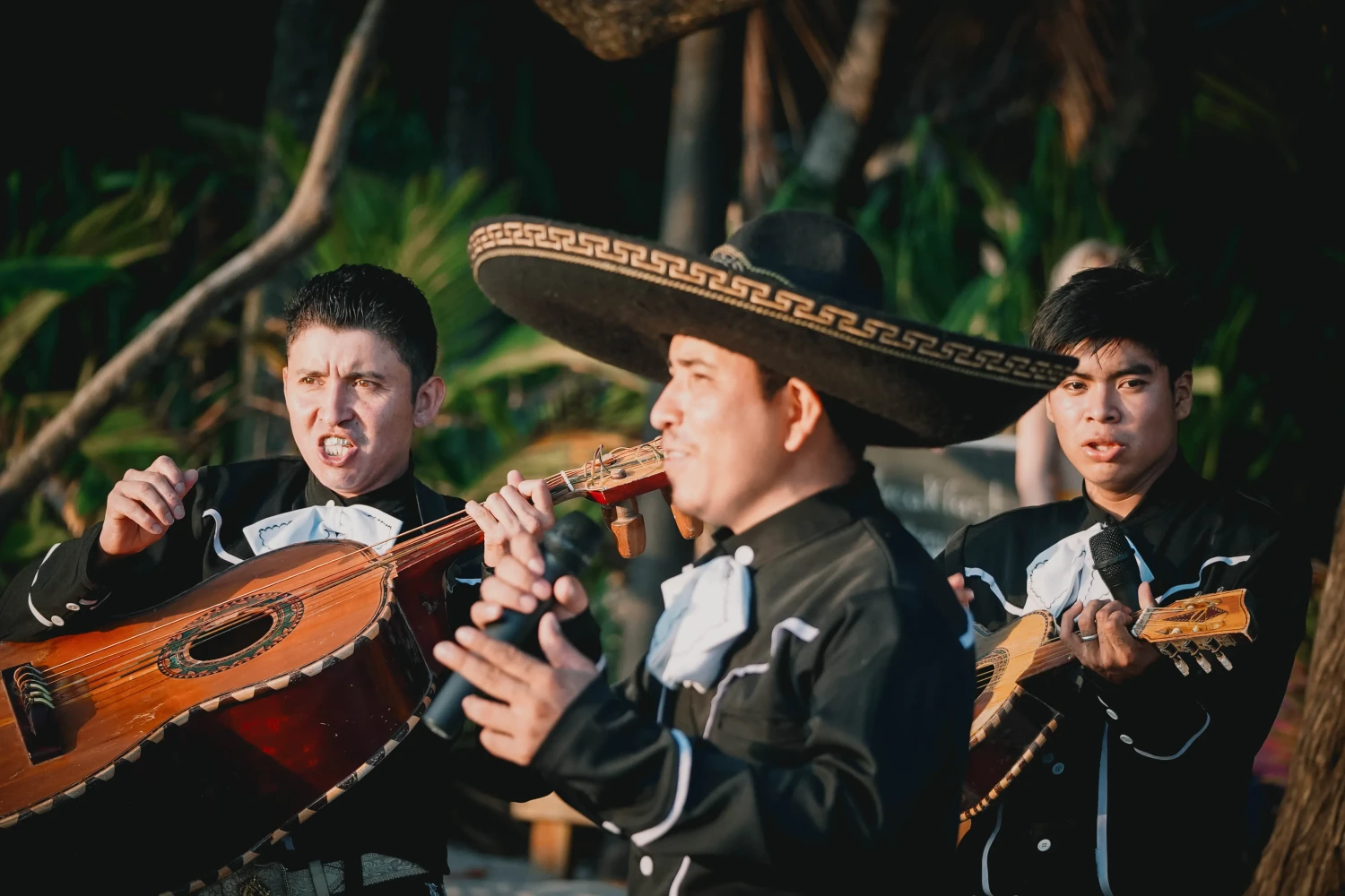 Beach Bar Santa Teresa