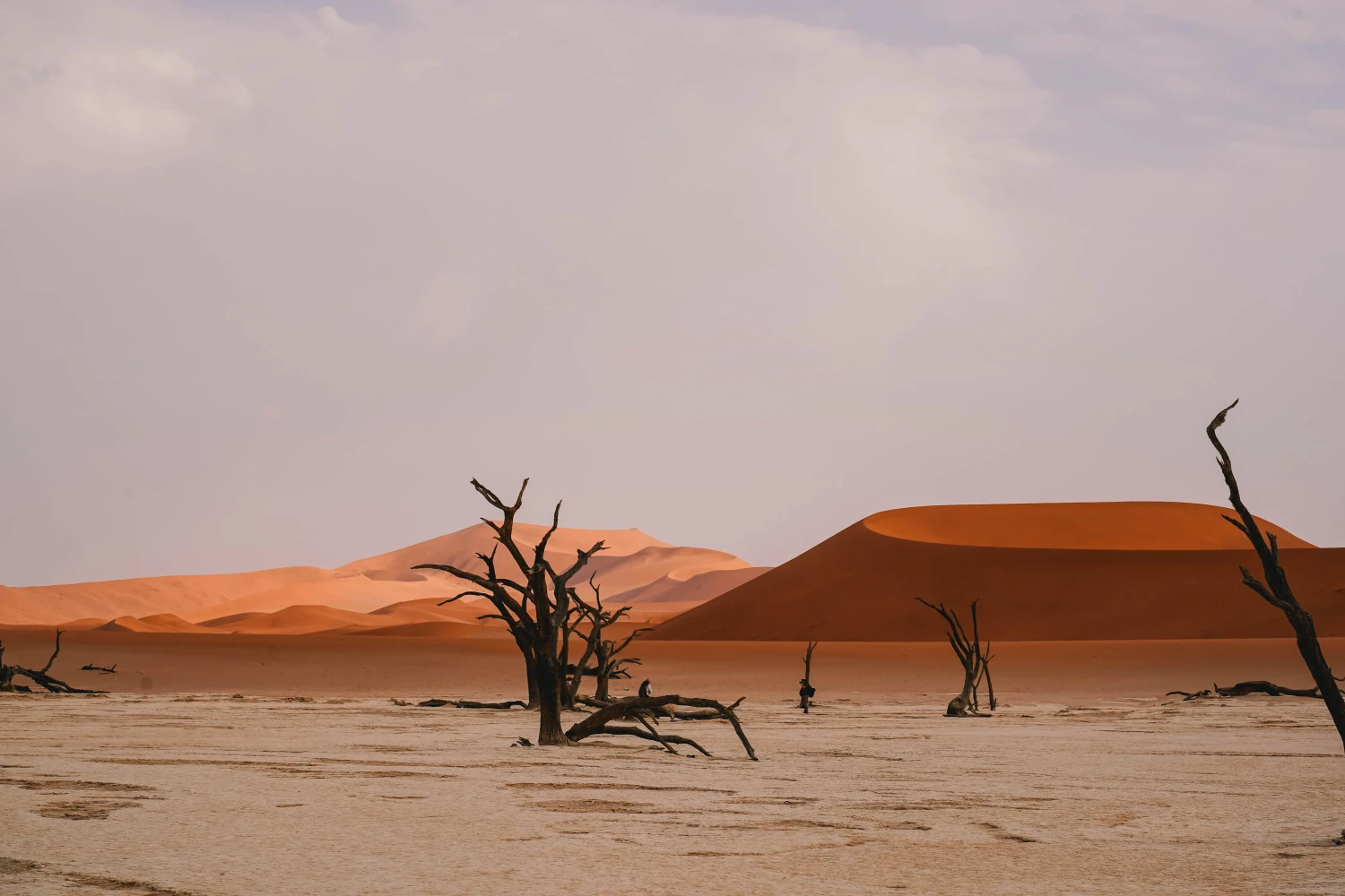 Deadvlei
