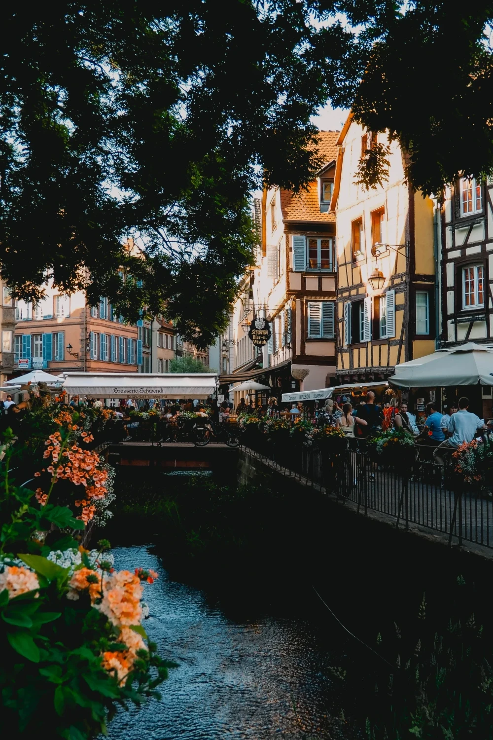 Colmar
