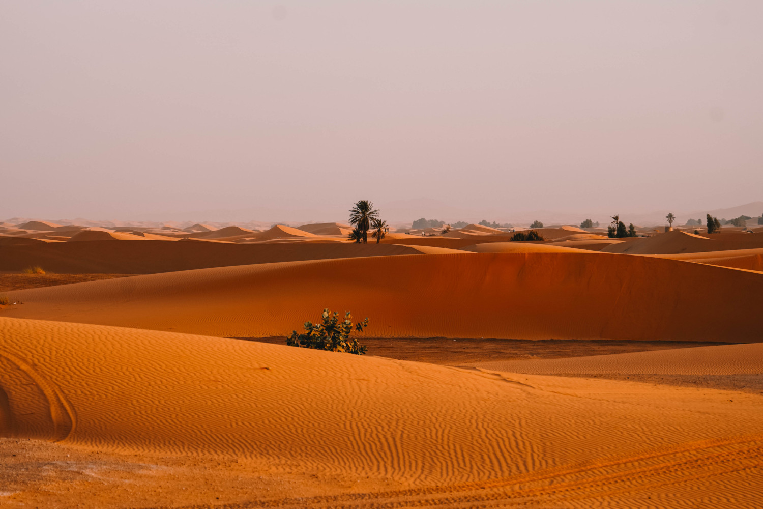 Zelf je rondreis plannen - Kies een bestemming